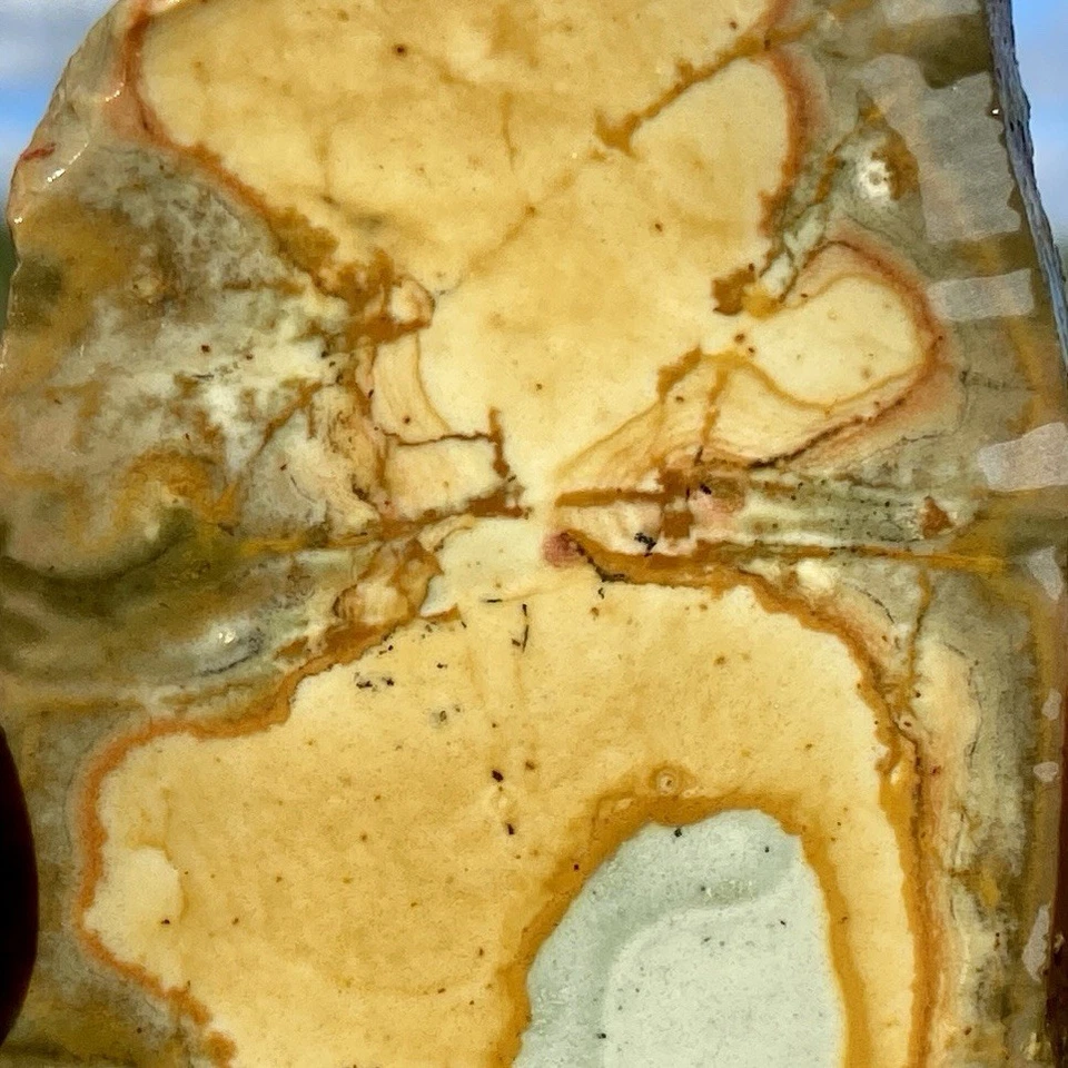 Owyhee Picture Jasper Slab 1.82 Oz - Image 3 of 4