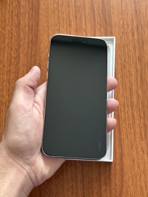 Apple iPhone 15 Pro Max 256GB (Unlocked) - Open Box | eBay