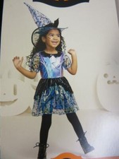 Toddler Iridescent Witch Halloween Costume Dress and Hat Hyde and Eek Size 2T-3T