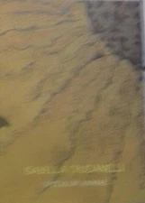 ISABELLA CRUCIANELLI SPECULUM ANIMAE MOSTRA PERSONALE DAL 16 AL 30 LUGLIO 2008