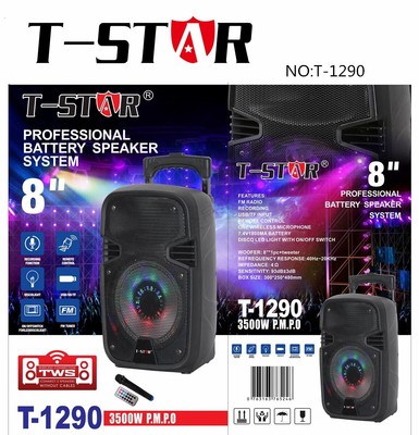 battery speaker system