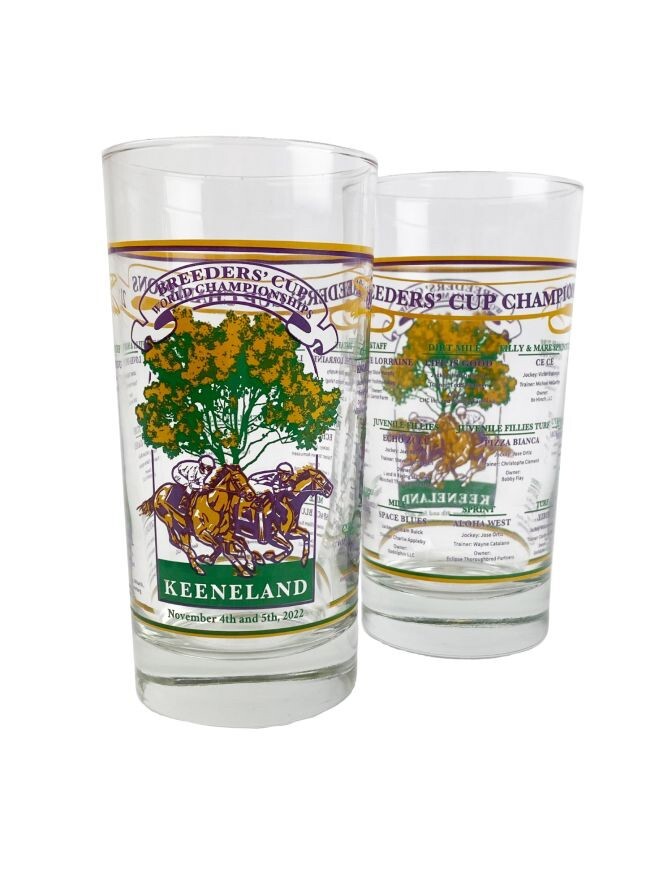 12 oz plastic insulated travel cup with lid 12oz Thermos Insulated Stainless Steel Tumbler