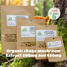 Organic Chaga Mushroom Inonotus obliquus Extract 500mg and 650mg, 50 