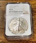 2025-P AMERICAN SILVER EAGLE MS69 W/ EAGLE PRIVY