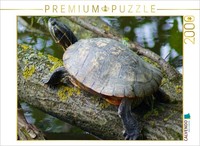 Calvendo Puzzle WasserschildkröTe | 2000 Teile Lege-GrößE 90X67Cm Foto-Puzzle Fü