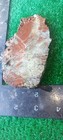 Rough Slab Cal. Brecciated Jasper 122g. 1/4" Thick Lapidary Cabbing #B-8 — photo 2