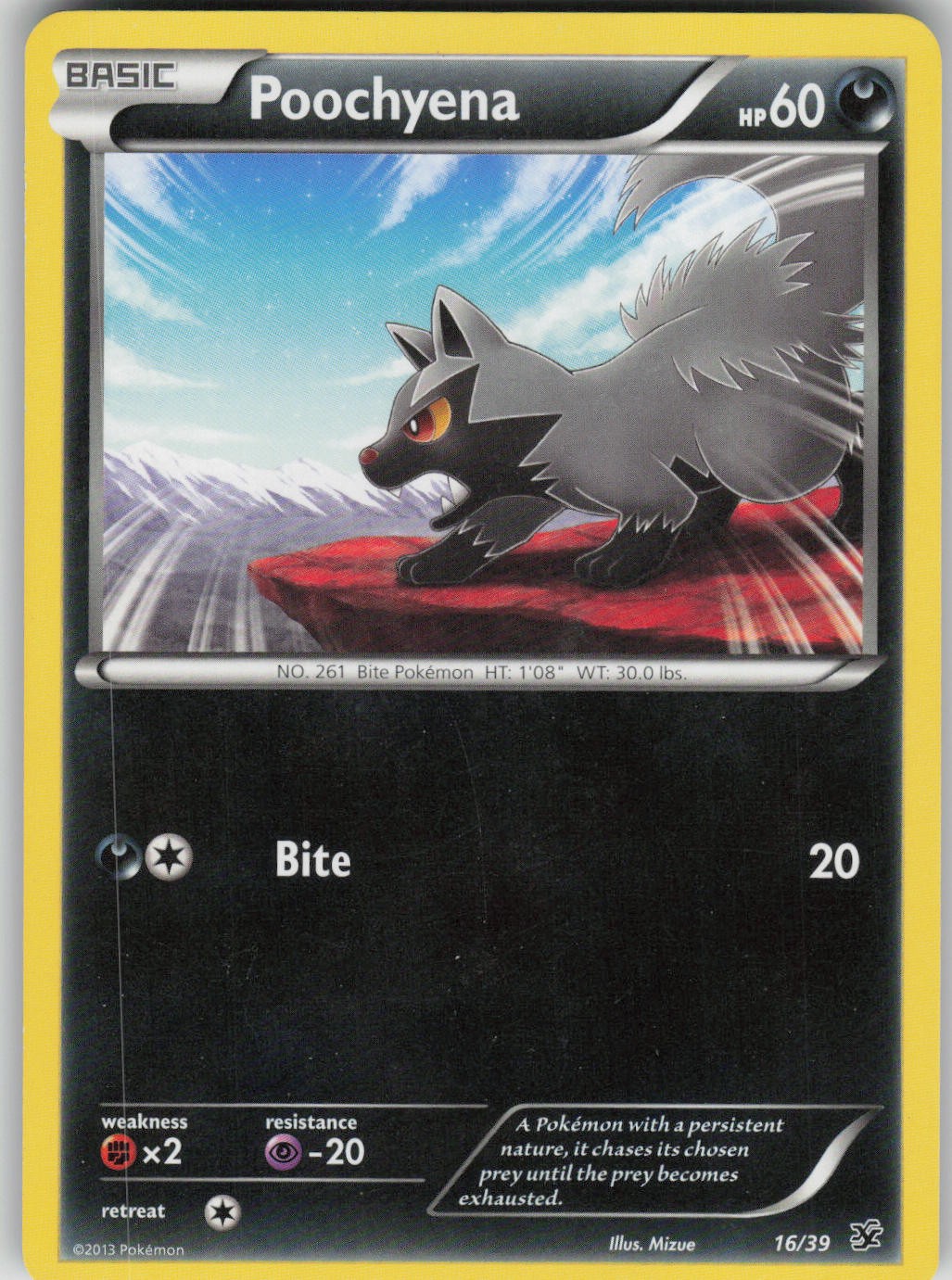 Pokemon TCG Poochyena Common Kalos Starter Set 16/39