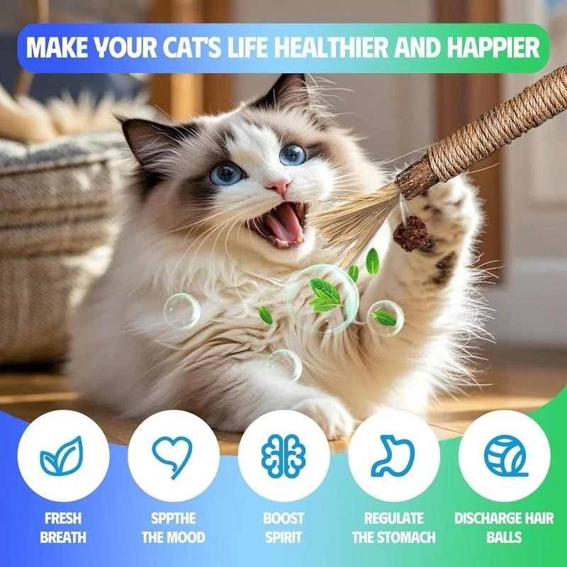 Cat Toys Chew Ropes 9Pcs with Refillable Natural Catnip, Safe Teeth Cleaning-USA - Image 4 of 4