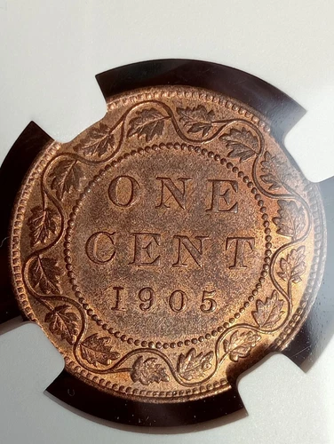 1905 Canada one cent  Edward VII NGC MS64 RB - 8 Finer