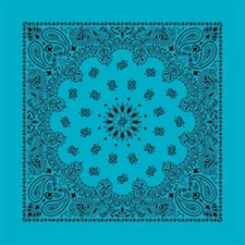 Contemporary Turquoise Paisley 22x22 Bandanna