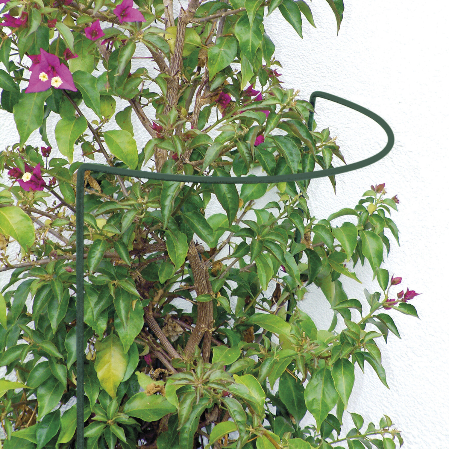 20 Stück Grüne Pflanzenstützen Aus Metall – 40 Cm Lang, 4 Mm Dick, Für Tomaten, Orchideen & Kletterpflanzen Im Garten & Zimmer