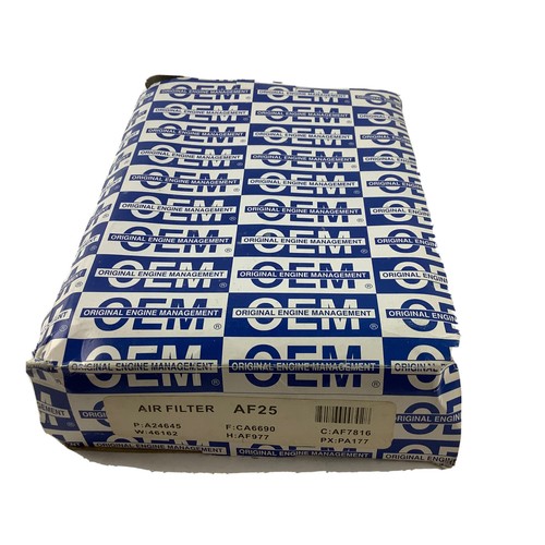 OEM Air Filter AF25 76333600361| eBay