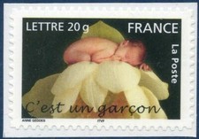 TIMBRE FRANCE AUTOADHÉSIF 2005 N° 0055 NEUF ** C'est un garçon (3805)