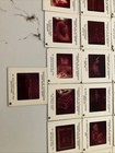 Lot 41x King Tut 35mm Film Slide Photos MMA 1976 Cairo Egypt Tutankhamun Photos — photo 9