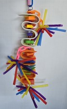 Zig Zag Parrot Toy