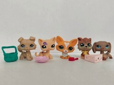 5pcs/lot Littlest Pet Shop LPS Cat Dog 1194 1962 G7 202 2141 W/5pcs Accessories