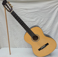 Elevation 6-String Acoustic Guitar Model - 540/5441(D)