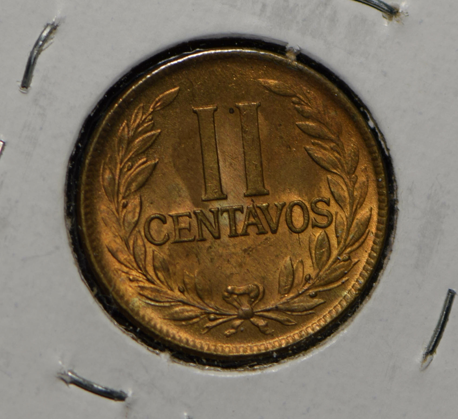 Foto 2 di 2