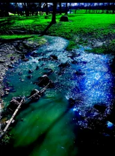 FRAMED CANVAS PRINT    "Nature at its Finest"   16" X 24"   UNIQUE.   Exclusive.