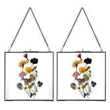 Set of 2 Brass Wall Hanging Photo Frame, Glass Floating Frame for Display Pre...