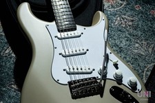 Paul Reed Smith Prs Silver Sky John Mayer Signature Model Rosewood / 2023 *To933