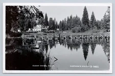 Postcard RPPC Clear Creek California Market and Cafe Sign Shell Gas Station