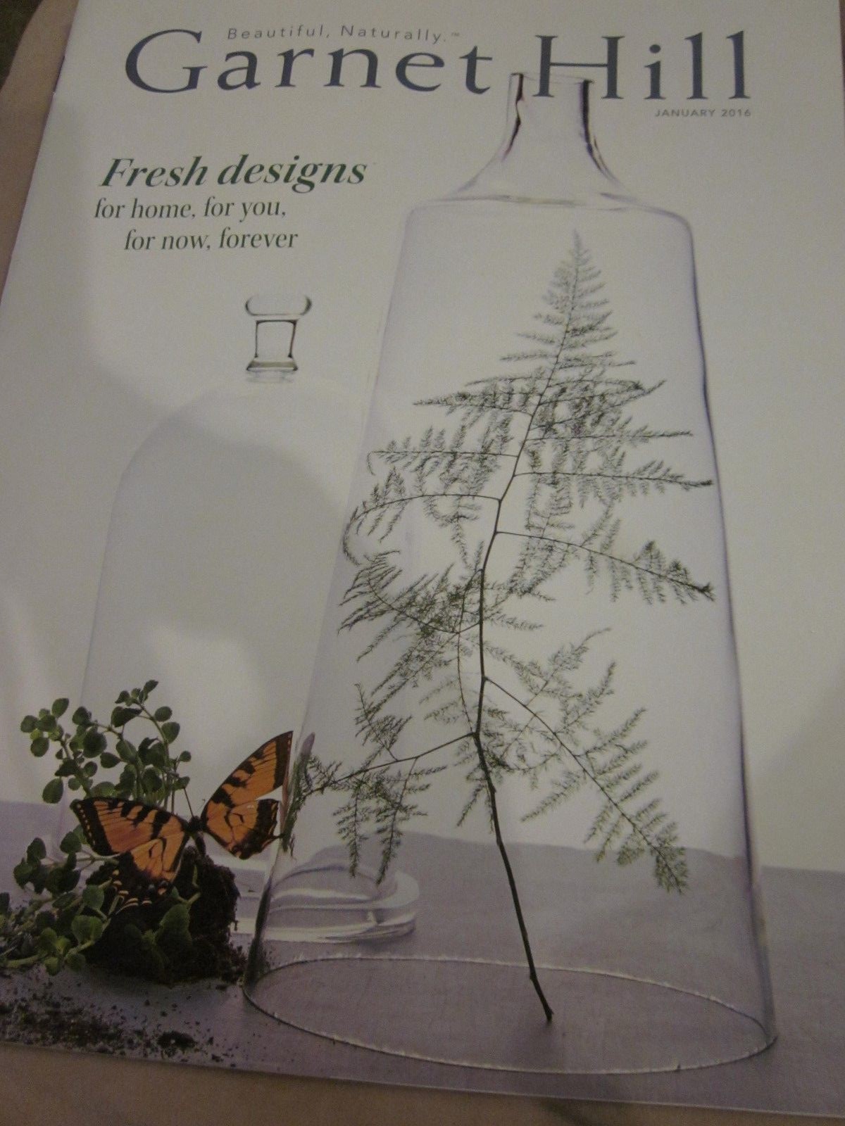 Hill Catalog January 2016 Beautiful, Naturally Fresh Designs
