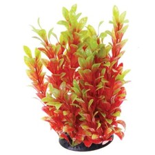 Underwater Treasures Red Ludwigia Plant