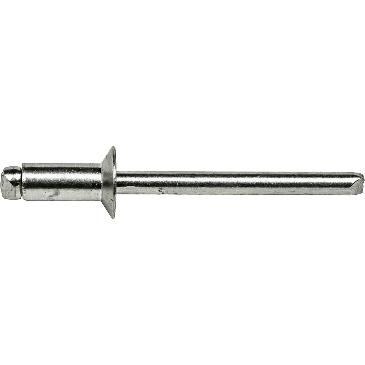 Pop Rivetti Acciaio 1/8 X 1/8 100 Rivetti Pop Ciechi Per Testa A Cupola Pop Rivetti Acciaio 1/8 X 1/8 100 Rivetti Pop Ciechi Per Testa A Cupola