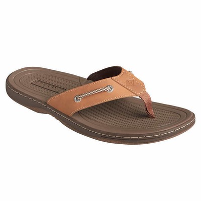 sperry men's pensacola thong sandals