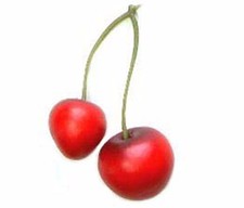Artificial Red Cherry Pair 20 Decorative Fake Fruit Artifitial Cherries