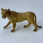 Picture 2 of 20