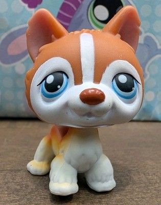 Littlest Pet Shop #341 Orange/brown/White Husky Blue Eyes Dog Authentic
