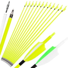 30" Carbon Arrows SP500 Turkey Feather Screw Points Recurve Compound Bow Hunting