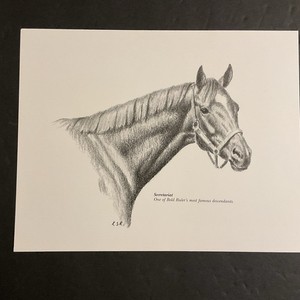 SECRETARIAT  SKETCH  10 X 9 Horse Racing 1973 TRIPLE CROWN