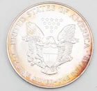 U.S. Mint American Silver Eagle 1 oz 1999 0.999 Fine Silver Coin