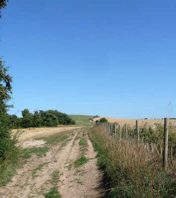 FOTO FARMLAND AM LOWBURY HILL (1) DER ZAUN RECHTS MARKIERT DIE GRENZE BE