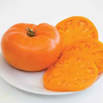 #ad 30 AMANA ORANGE BEEFSTEAK TOMATO SEEDS heirloomseedguy 2026 NON GMO $1.87