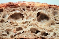 ORIGINAL WHARF SAN FRANCISCO SOURDOUGH STARTER bread yeast z