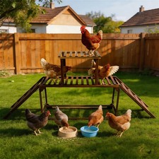 79" Chicken Playground Perches with Swing Wood Roost Bar Ladder Ramp Coop Toy