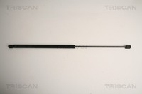 Heckklappen DäMpfer Gasfeder Kofferraum Triscan 8710 16254 FüR Fiesta Ford 5 Van