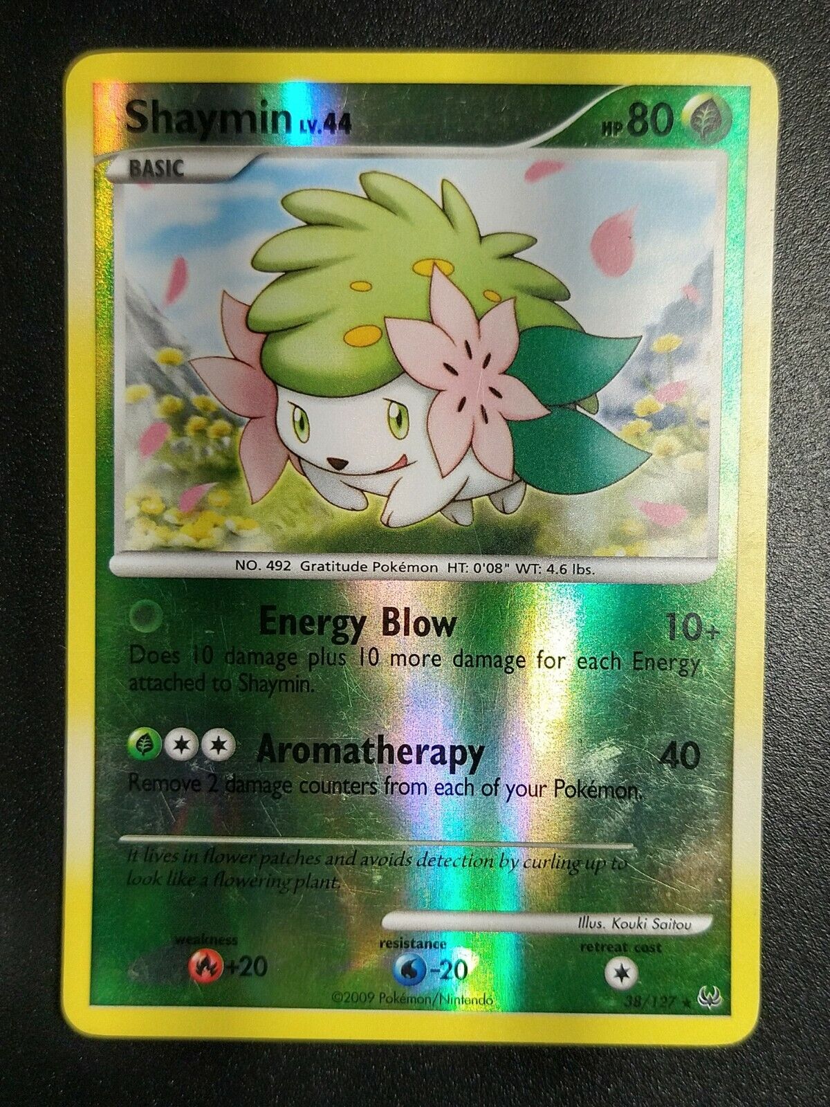 Pokemon Shaymin Sky Form 38