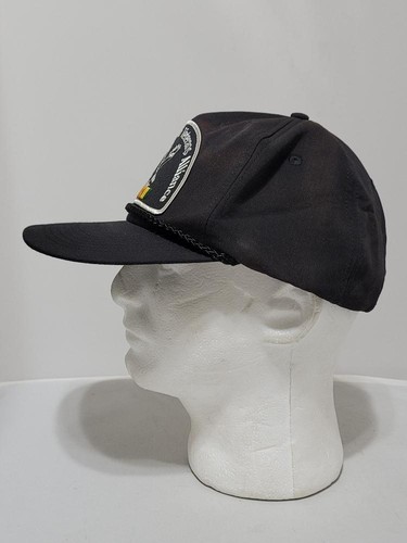 Georgia Vietnam Veterans Alliance Cap Strap back #71v - Picture 4 of 6