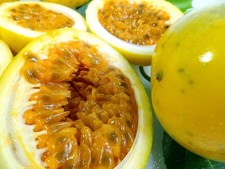 Sweet Granadilla Yellow Passion Fruit Seeds Passiflora ligularis 2025-USA