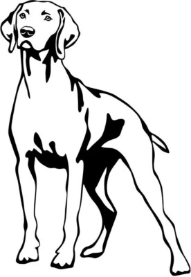 RHODESIAN RIDGEBACK Aufkleber - Ridgeback Autoaufkleber - sticker - Kontur #69 - Bild 1 von 3