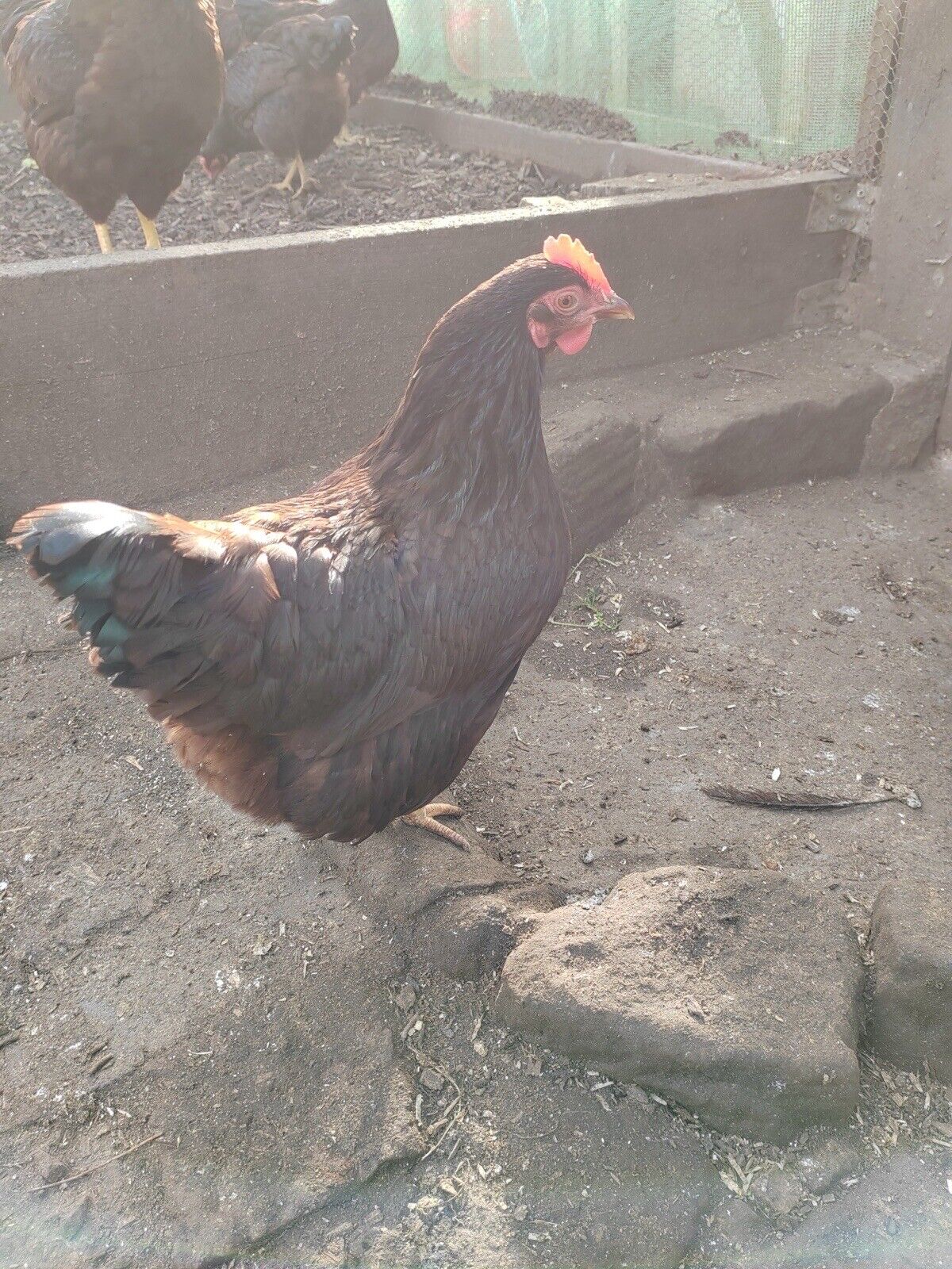 Picture 20 of 24