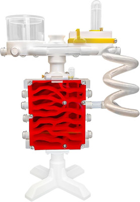 Ant Farm Castle 3D Printed Ant Farms Habitat Ant Colony for Kids, Adults, Studen
