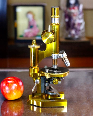 Antique Ernst Leitz Stand Ia Microscope 1894 Complete Set Walnut