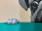 Pug puppy 20 x 24” oil painting on canvas  modern on canvas — photo 3