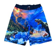 Wonder Nation Boys Swim Trunks Swim Shorts Dinosaur Volcano Youth Size 18 2XL